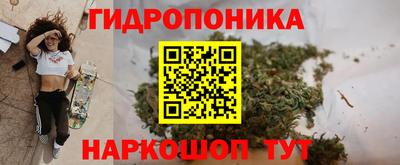 ешки Будённовск