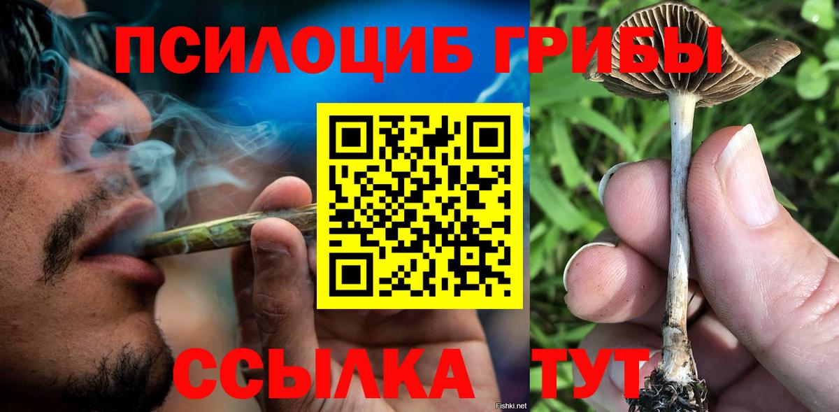 Галлюциногенные грибы прущие грибы Рыбинск